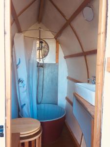 大佩德罗冈Rosa the Cosy Cabin - Gypsy Wagon - Shepherds Hut, RIVER VIEWS Off-grid eco living的带淋浴和盥洗盆的浴室