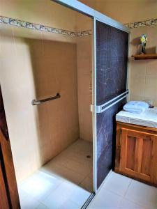 佩达西镇Hostal Doña Maria的浴室里设有玻璃门淋浴