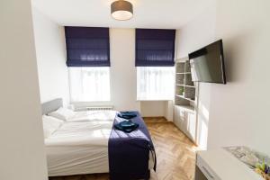 维尔纽斯HOT SPOT Vilnius Apartments!的一间小卧室,配有一张床和电视