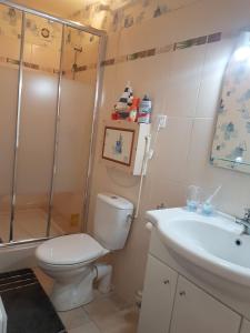 叙热尔Charmante maisonnette 2 personnes avec wifi的浴室配有卫生间、淋浴和盥洗盆。