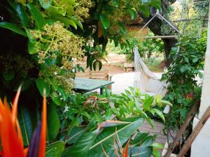 蒙塔尔巴诺La casa nel villaggio的花园中种有植物的吊床