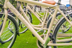 切齐纳码头Golden Hotel的停在草地上的一排自行车