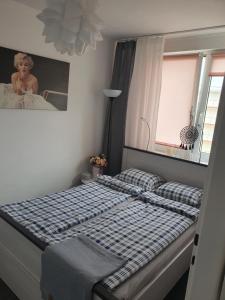 马尔堡Apartament Przy Ratuszu的一间卧室配有一张床和镜子