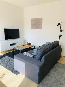 杜塞尔多夫Wohnung Skandi-Home ruhige Lage NEU - Düsseldorf Nord的带沙发和电视的客厅