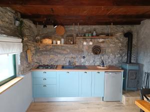 卡利Mrdina house的厨房配有蓝色橱柜和炉灶。