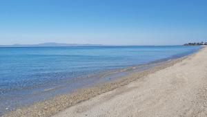 波利克罗诺Akrogiali Exclusive Hotel (Adults Only)的海滩与大海和海岸线