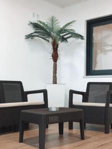 布拉加Alojamento Amélie - Apartamento的客厅配有两把椅子和一张桌子,还种植了棕榈树