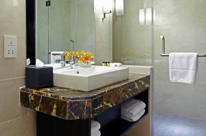 达卡孟加拉达卡阿玛瑞酒店的一间带水槽和镜子的浴室