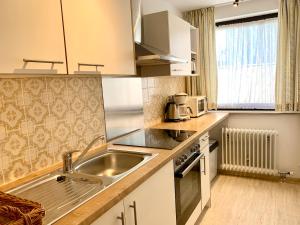 巴特恩多夫Birkenhof Apartments的一间带水槽和微波炉的小厨房