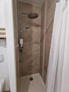 卢瓦尔河畔新堡Les Rauches - Quai Loire - Suite 2 Chambres的浴室内配有淋浴和头顶淋浴