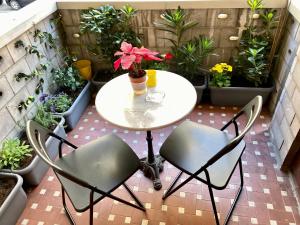 都灵Carducci green - Appartamento monolocale的天井配有桌椅和盆栽植物