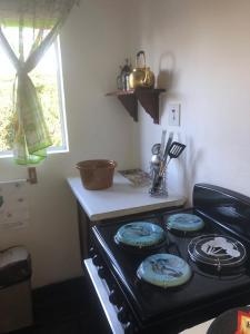 Modern Rustic Durban Apartment的厨房或小厨房