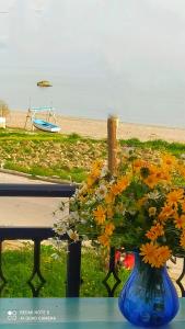 KámposSocrates sea view的海滩边桌子上摆放着鲜花的蓝色花瓶