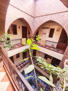 马拉喀什Hotel salem leksor的从一座种植植物的建筑的二楼欣赏