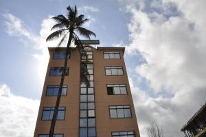 阿鲁沙里奇酒店的一座高大的建筑,上面有棕榈树