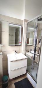 普劳恩Ferienwohnung am Birkenwäldchen的浴室设有白色水槽和镜子