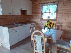 BielinyAgroturystyka Sosenka的厨房配有桌椅和水槽。