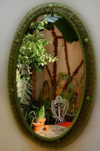 布宜诺斯艾利斯布宜诺斯艾利斯伦兹沃斯酒店的挂在墙上的镜子,上面有盆栽植物