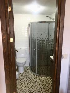 格克切达镇SARI KEÇİ TAŞ OTEL的一间带卫生间和玻璃淋浴间的浴室