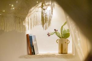 阿尔贝罗贝洛Trullo Love的书架上装有植物和书籍的窗户