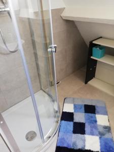 鹿特丹Residentie Blijdorp的带淋浴、卫生间和地毯的浴室