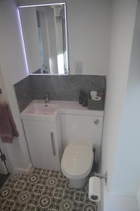 奥本The Wee Bank House的浴室配有白色卫生间和盥洗盆。