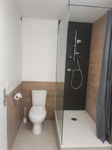 艾克斯莱班LA PIERRINA - Chamois - Appart 3 étoiles的一间带卫生间和玻璃淋浴间的浴室