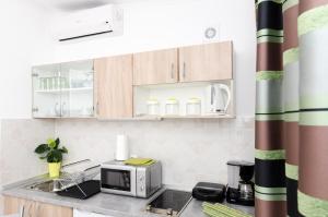 杜布罗夫尼克卡佩里卡客房和公寓的厨房配有水槽和微波炉