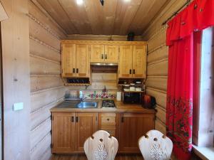 波罗宁Domek Góralski Chatka Puchatka的一个带木制橱柜和水槽的小厨房