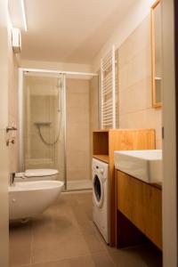 福尔加里亚Residence Hotel Casa Alpina Serrada的浴室配有卫生间水槽和洗衣机。