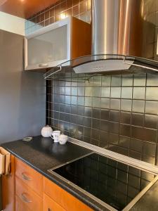 波利卡斯特隆Elite Home的厨房配有水槽和微波炉