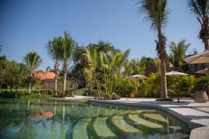 绍其德贝克Soul Spring Sanctuary的度假村内棕榈树游泳池
