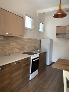 采蒂涅Apartmani Vila的厨房配有木制橱柜和白色冰箱。