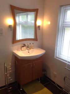 布罗姆利克雷农场旅馆的一间带水槽和镜子的浴室