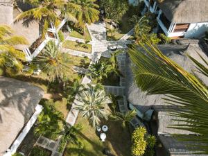 特鲁欧克比赫斯Constance Sakoa Boutik的棕榈树庭院的顶部景色