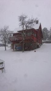 BozkovskaChata s bazénem Bozkov的雪中有一棵树的红色房子