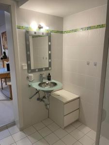 布伦瑞克Tolles Apartment in idyllischer ruhiger Lage的一间带水槽和镜子的浴室