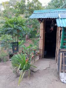 安蒂波洛Kambal Kubo Resthouse at Sitio Singalong Bgy San Jose Antipolo的一座小建筑的入口,前方有植物