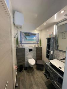 萨尔雷Luxury Beachhouse Apartment Boa Vista的一间带卫生间、水槽和镜子的浴室