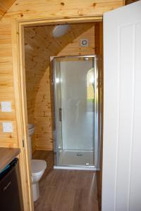 DalmellingtonLuxury Rural Ayrshire Glamping Pod的带淋浴和卫生间的浴室