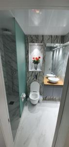内坦亚מלון כרמל/מגדל C的浴室配有卫生间、盥洗盆和淋浴。