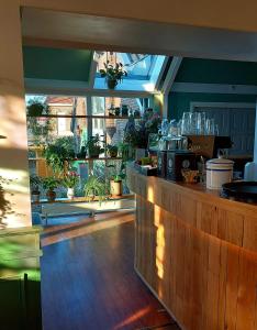 福尔登Hotel De Gravin van Vorden的一间拥有许多植物的柜台的餐厅