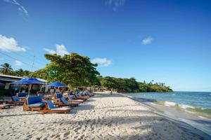 莫雷雷Pousada Boutique Coco Bambu Morere的海滩上设有椅子和遮阳伞,还有大海