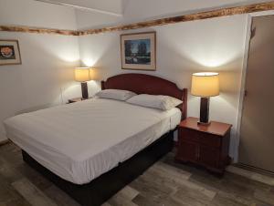 道奇城Wyatt Earp Hotel的一间卧室配有一张床和两张台灯。