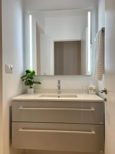 毕尔巴鄂Bilbao Azkuna Home Centro EBI01832的一间带水槽和镜子的浴室