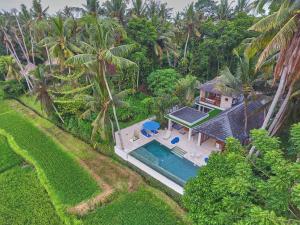 乌布Villa Balinese Luxurious Elegance的享有带游泳池的房屋的空中景致