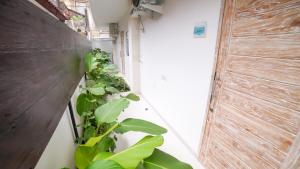 沙努尔Ocean Star Apartment Sanur的一条种植了绿色植物的走廊和一堵墙