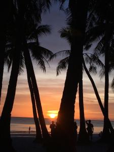 长滩岛Swahili Apartelle的棕榈树海滩上的日落
