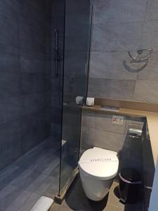 帕福斯中央狄俄尼索斯酒店的一间带卫生间和玻璃淋浴间的浴室