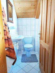 格伦德尔湖Haus Annerl的一间带卫生间和水槽的浴室